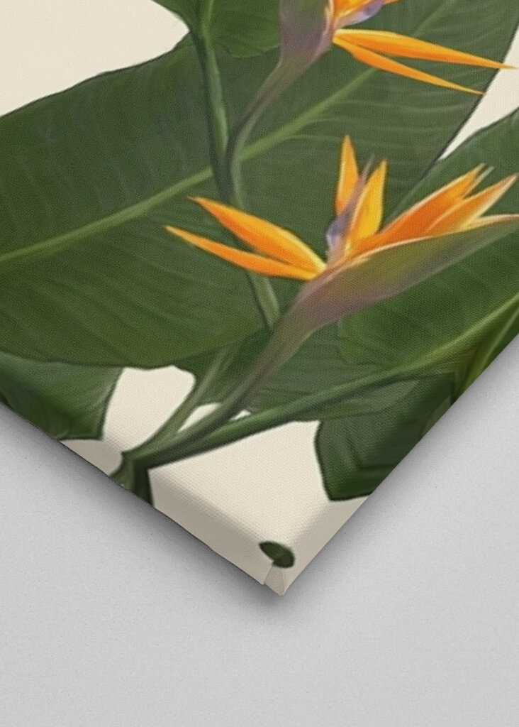 Birds of Paradise botanical pr