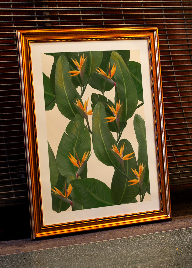 Birds of Paradise botanical pr