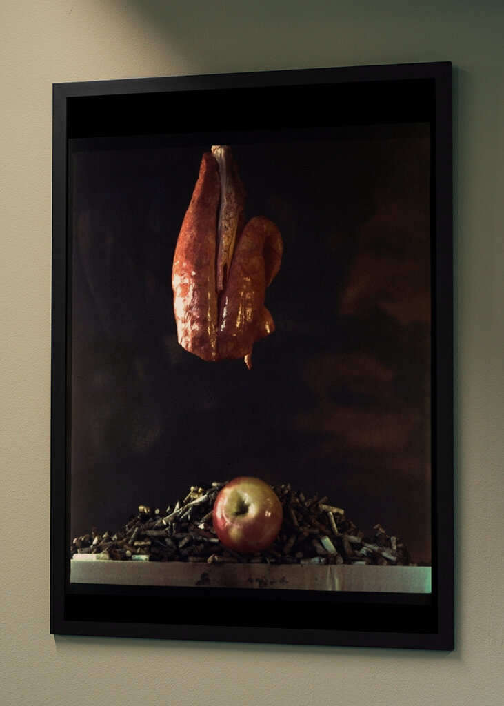 Rygerens forfængelighed