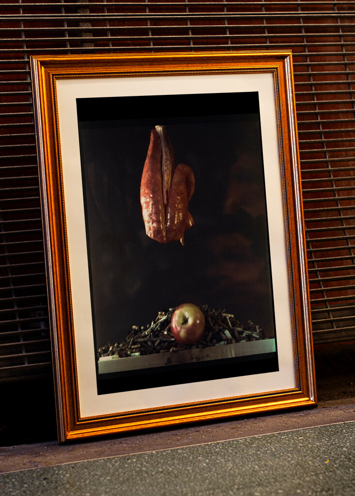 Rygerens forfængelighed