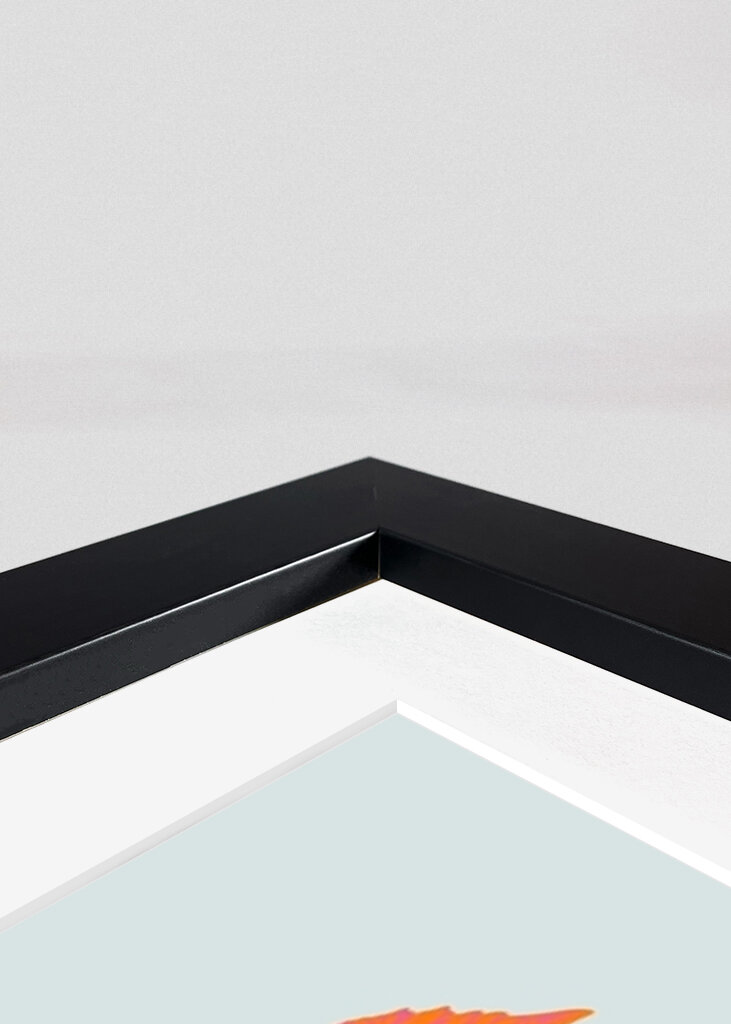 Blackberry still life