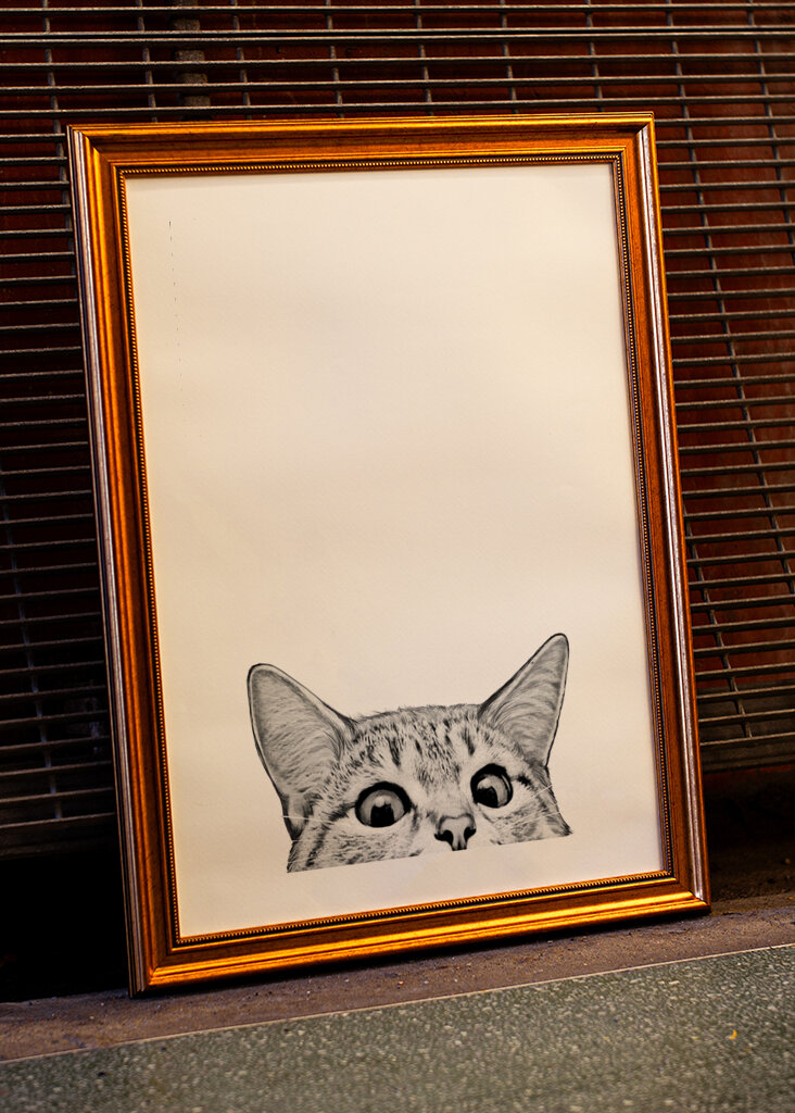 Are You Asleep Yet Light 