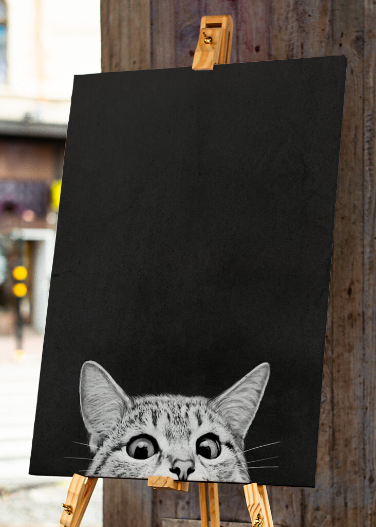 Você ainda está dormindo 