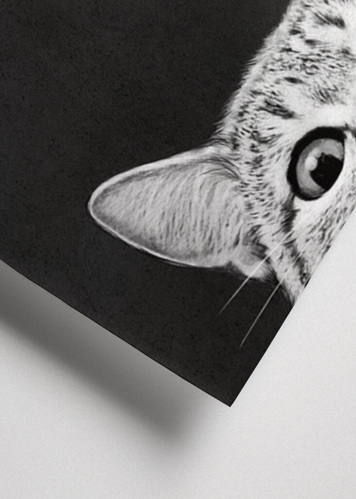 Você ainda está dormindo 