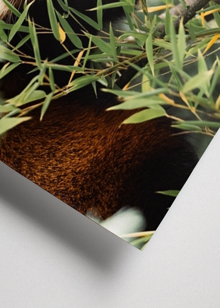 Mami, můžeme si ho prosím dát?