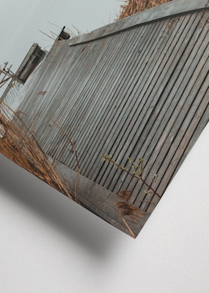 Morning mist on the water