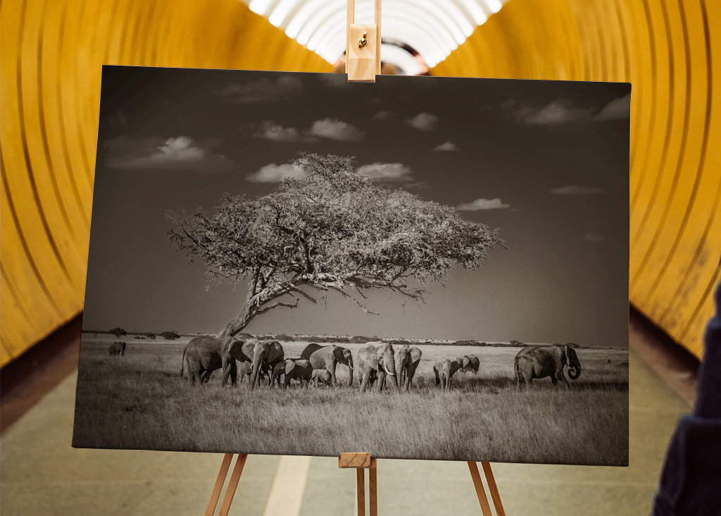 Under ett träd i Afrika