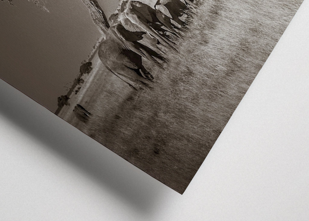 Under ett träd i Afrika