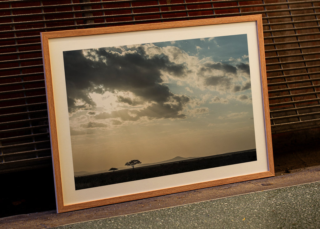 Eftermiddag i Serengeti