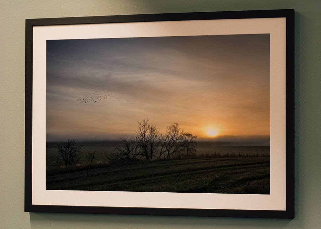 Ptáci při východu slunce