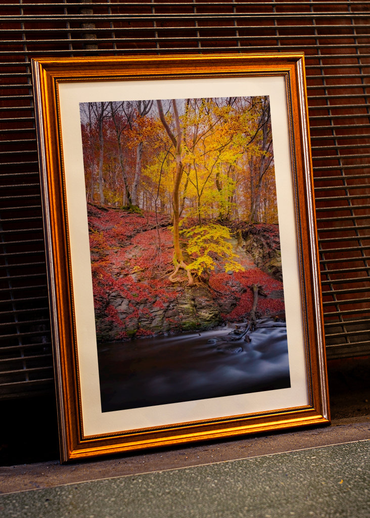 Vand, jord, luft og ild