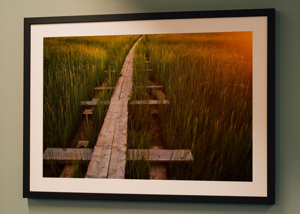 Promenade du soir avec des arbres picotants
