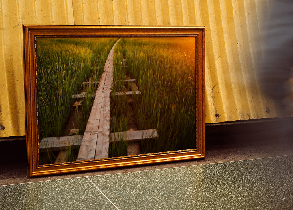 Promenade du soir avec des arbres picotants