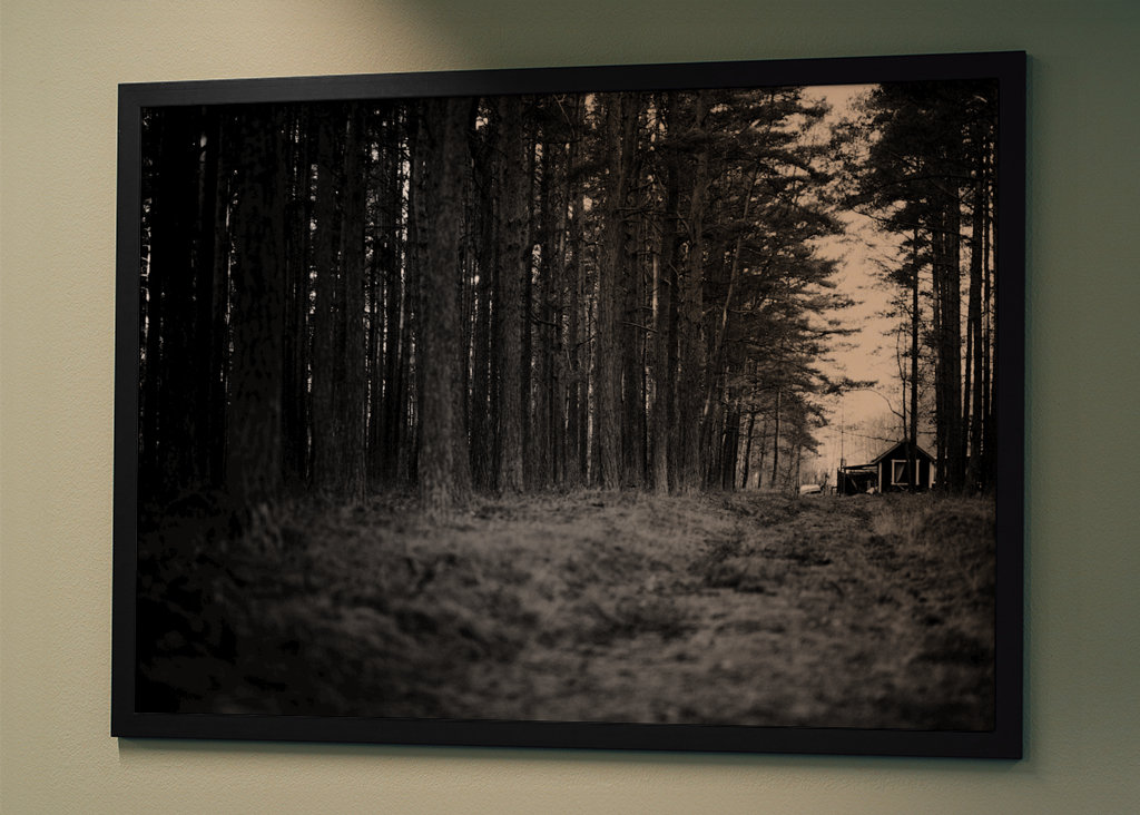 I et hus for enden af skoven