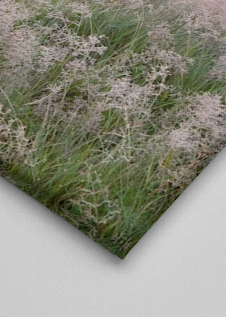 Kouzelný východ slunce