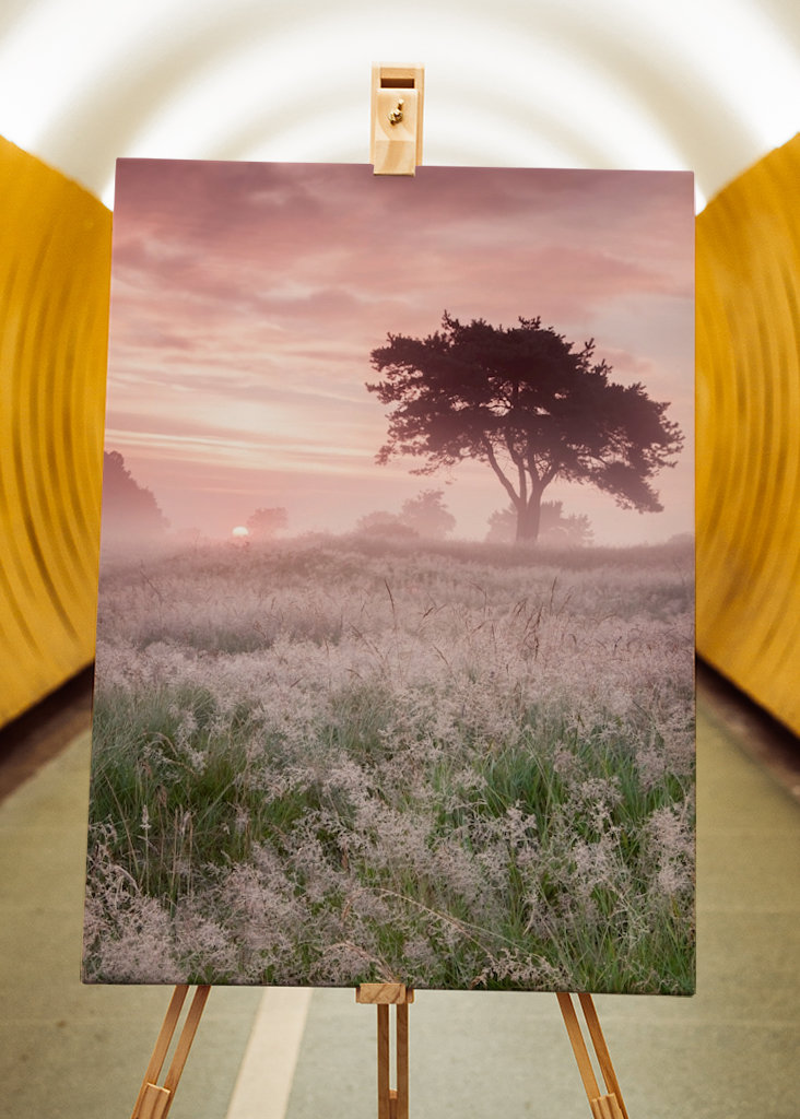 Kouzelný východ slunce