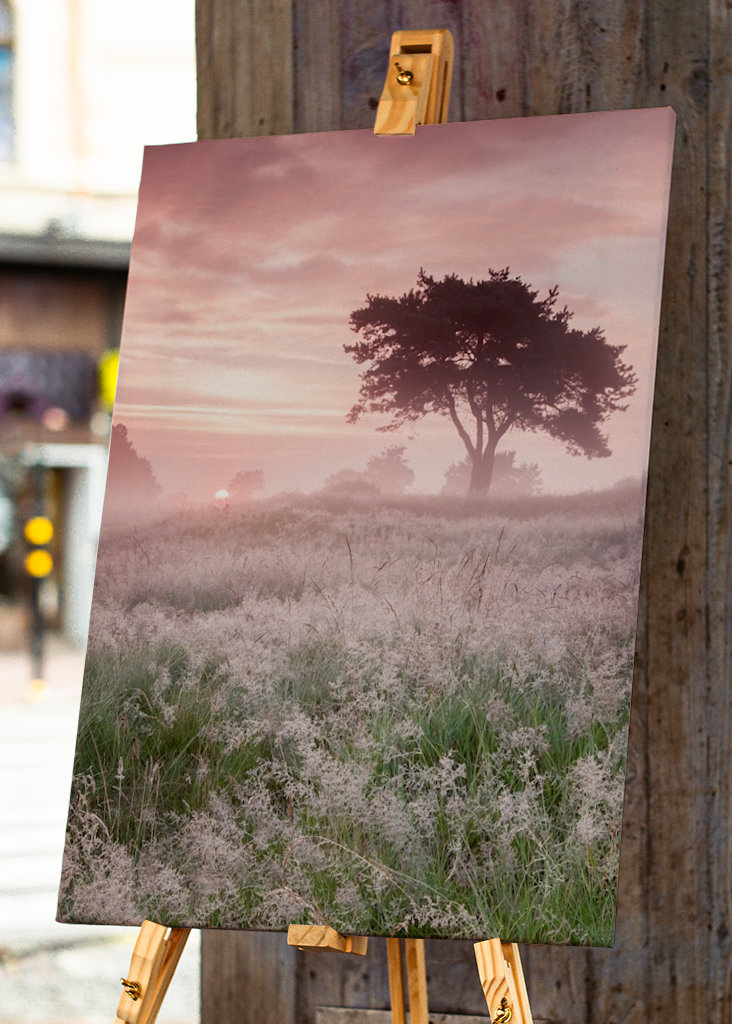 Kouzelný východ slunce