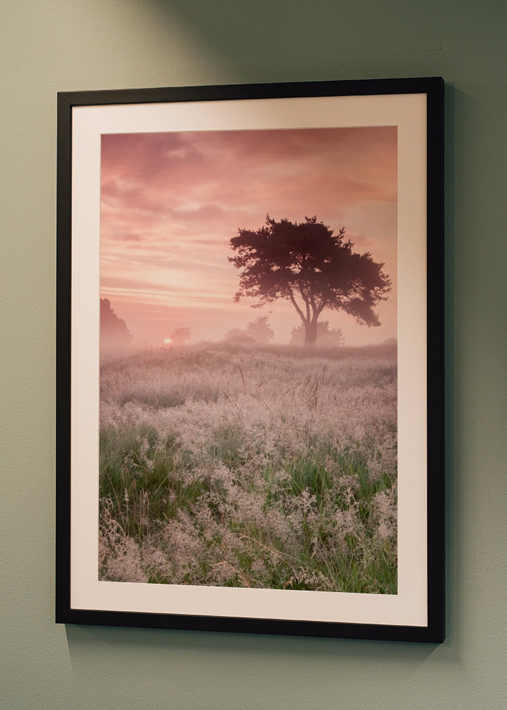 Kouzelný východ slunce