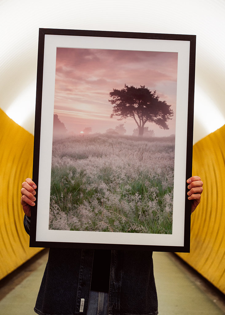 Kouzelný východ slunce