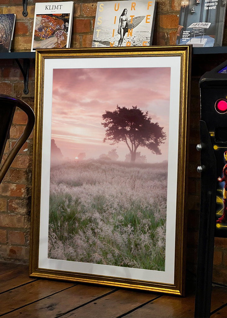 Kouzelný východ slunce