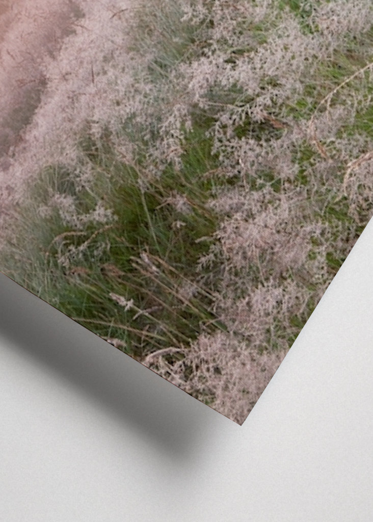 Kouzelný východ slunce