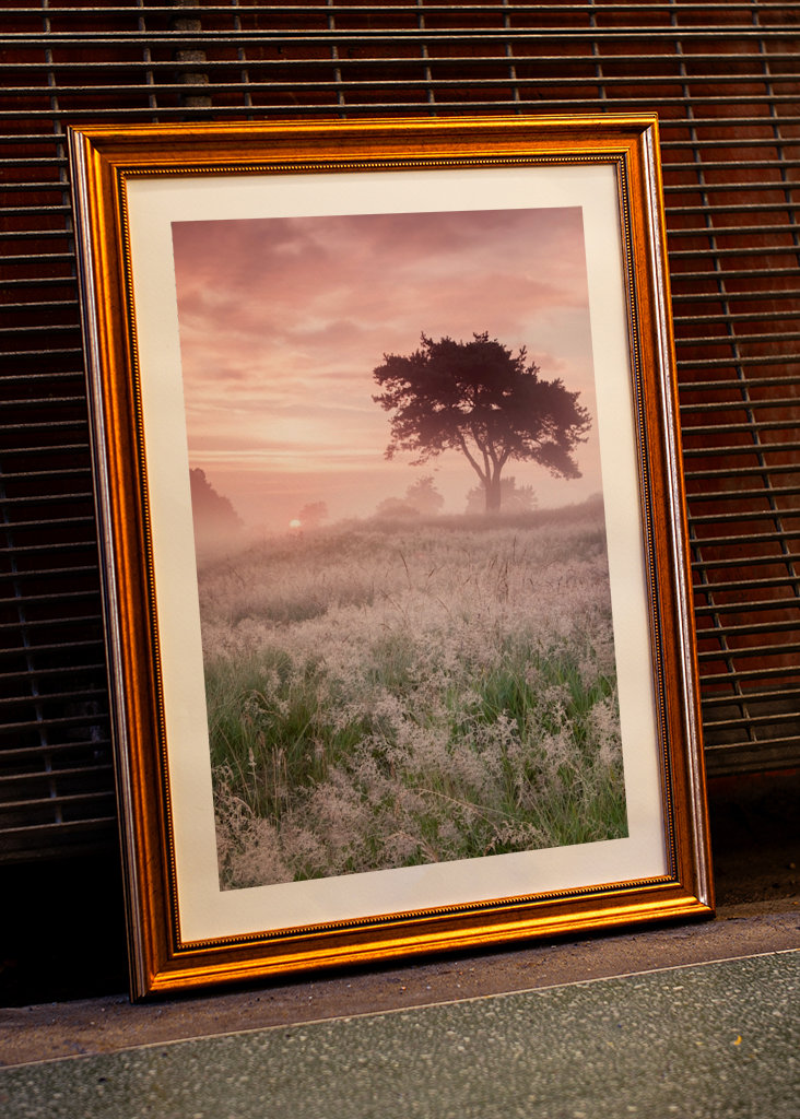 Kouzelný východ slunce