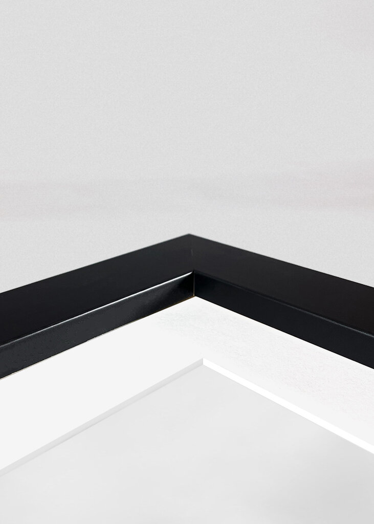 Empire State Building 