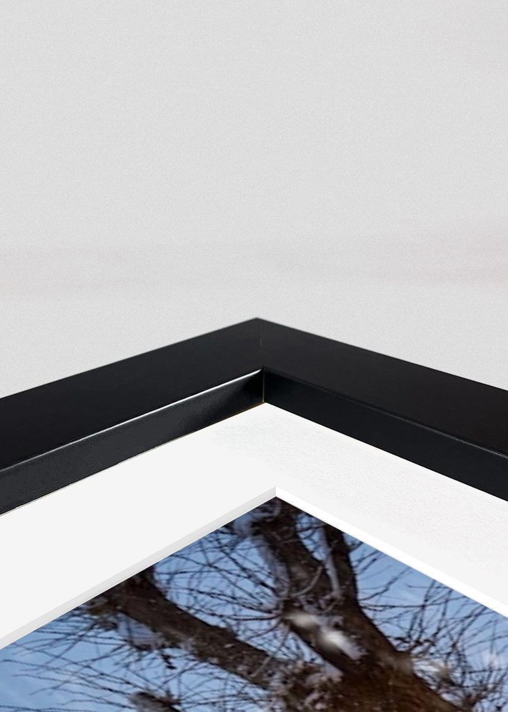 La porte d’entrée de Narnia