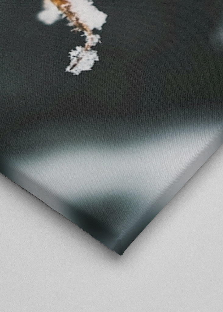 The Wealth in Winter