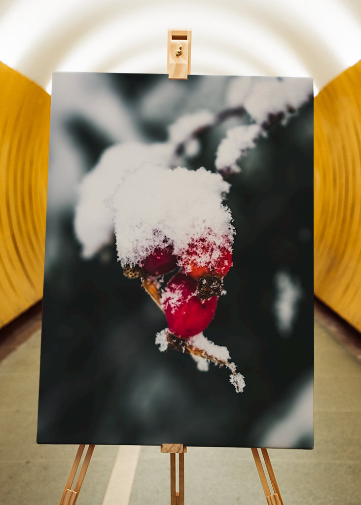 The Wealth in Winter