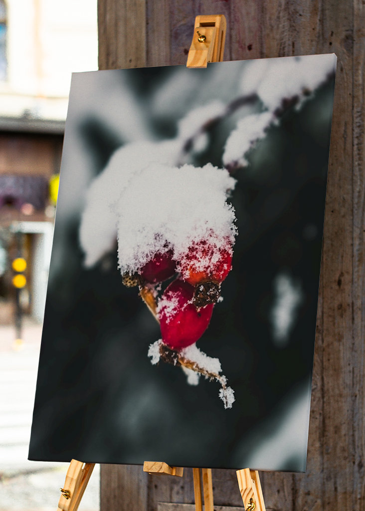 The Wealth in Winter