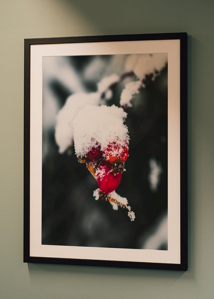 The Wealth in Winter