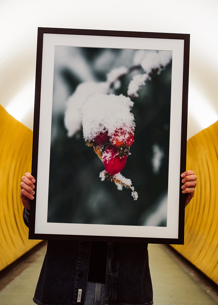 The Wealth in Winter