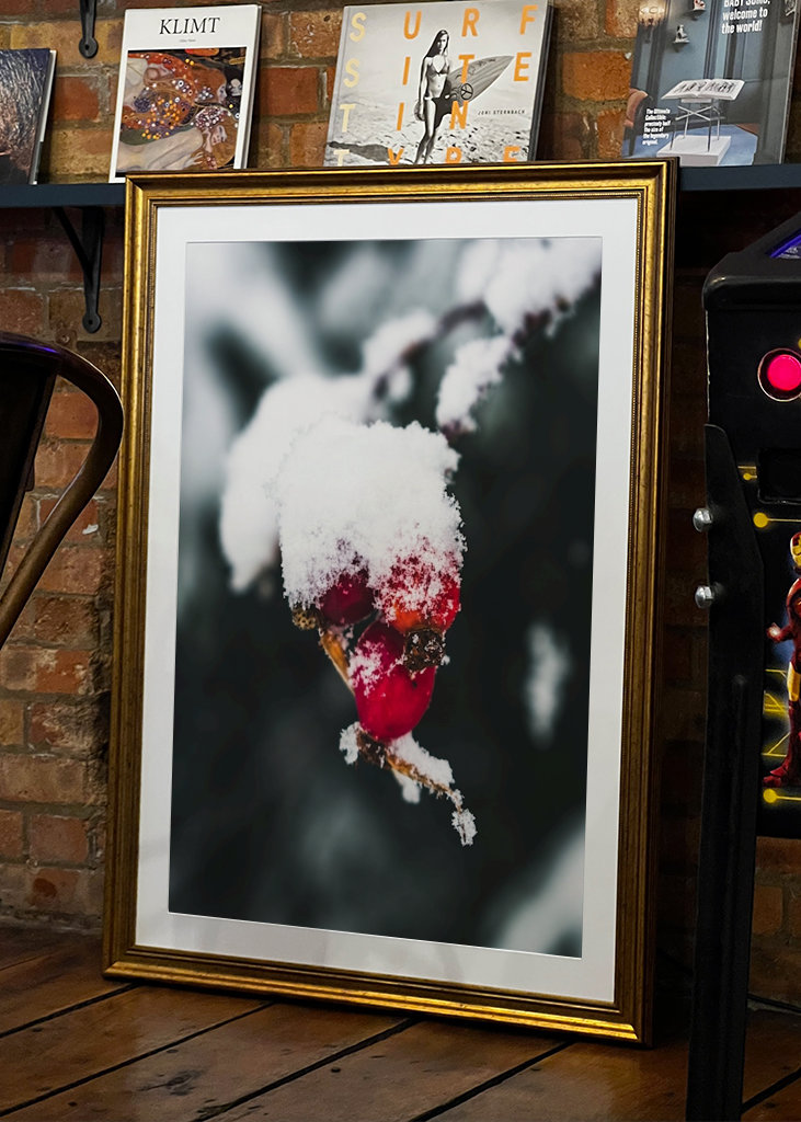 The Wealth in Winter