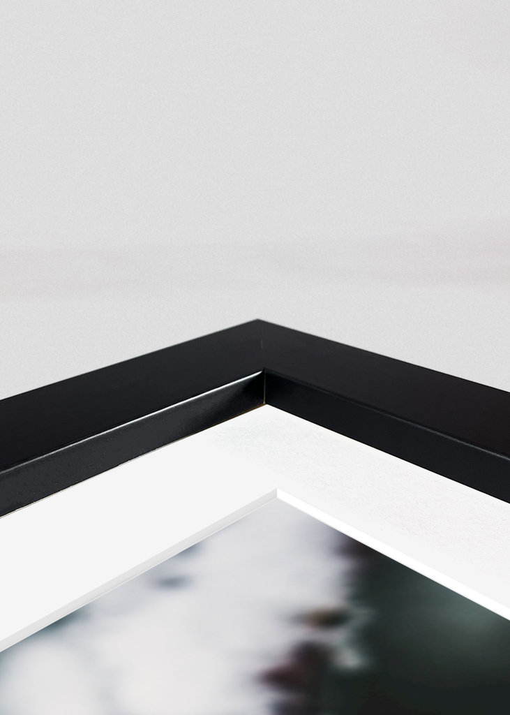 The Wealth in Winter