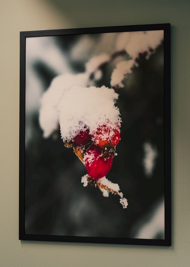 The Wealth in Winter