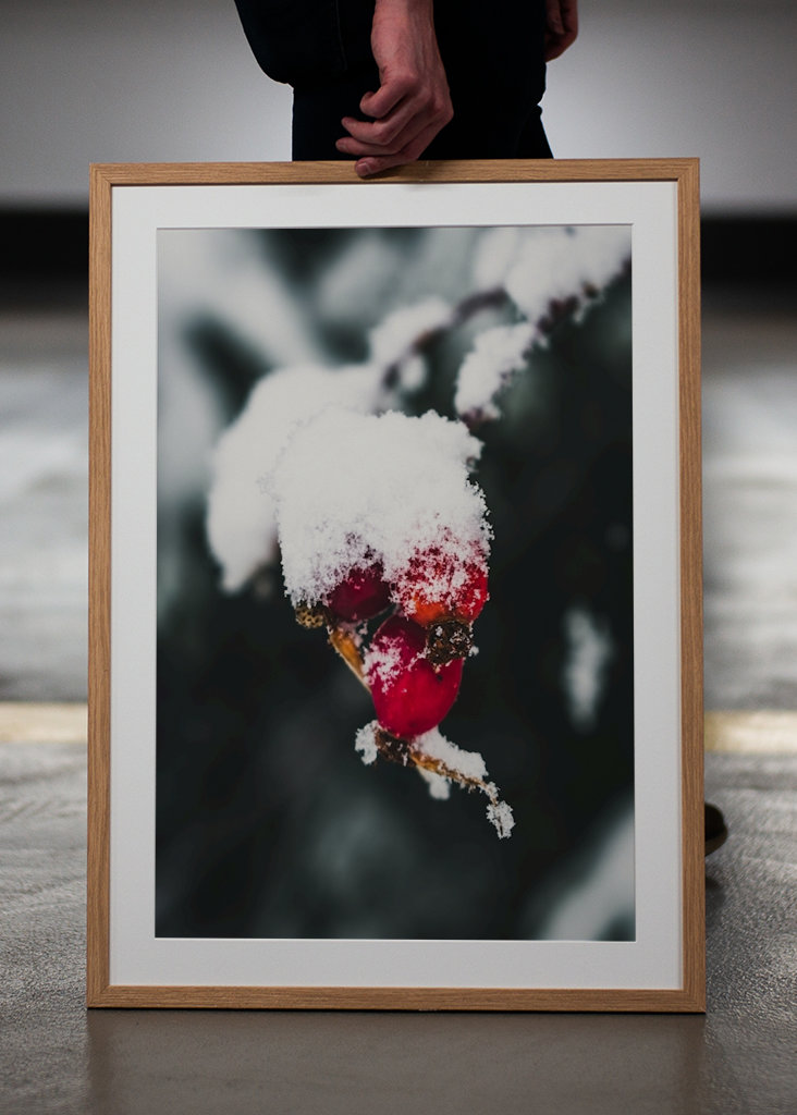 The Wealth in Winter