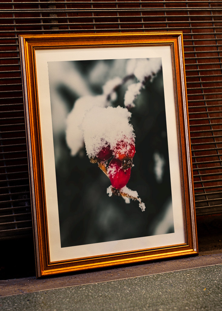 The Wealth in Winter