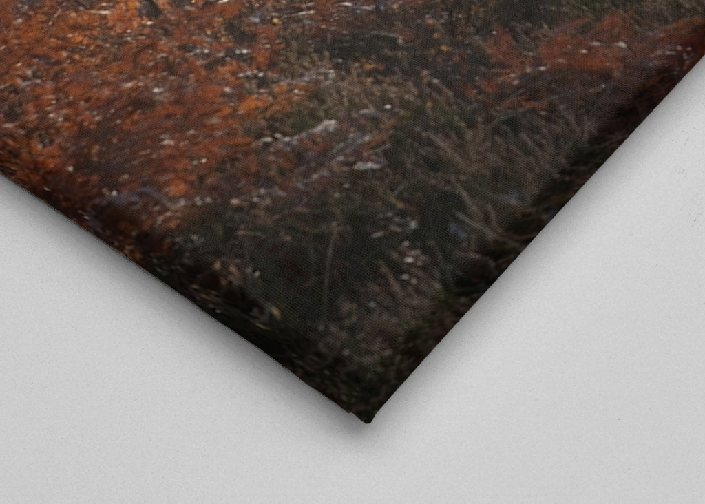 Vintersjov i Sverige