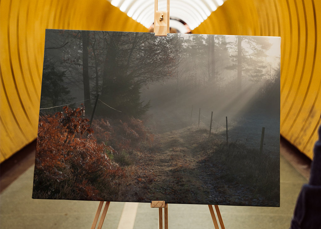 Vintersjov i Sverige