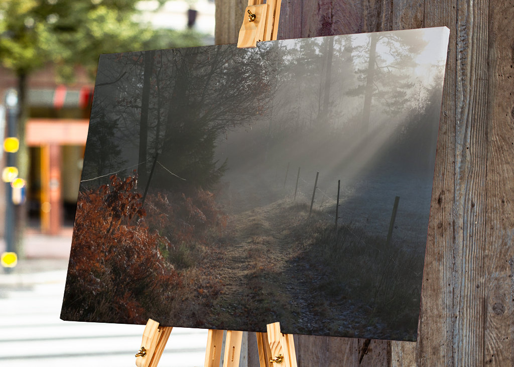 Vintersjov i Sverige