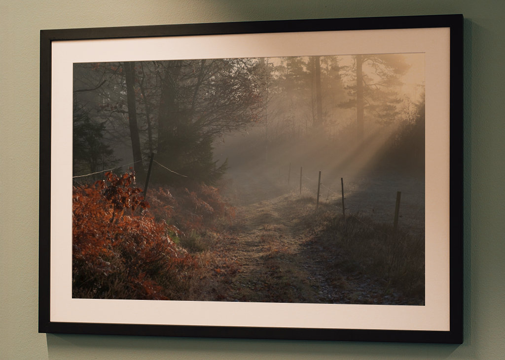 Vintersjov i Sverige