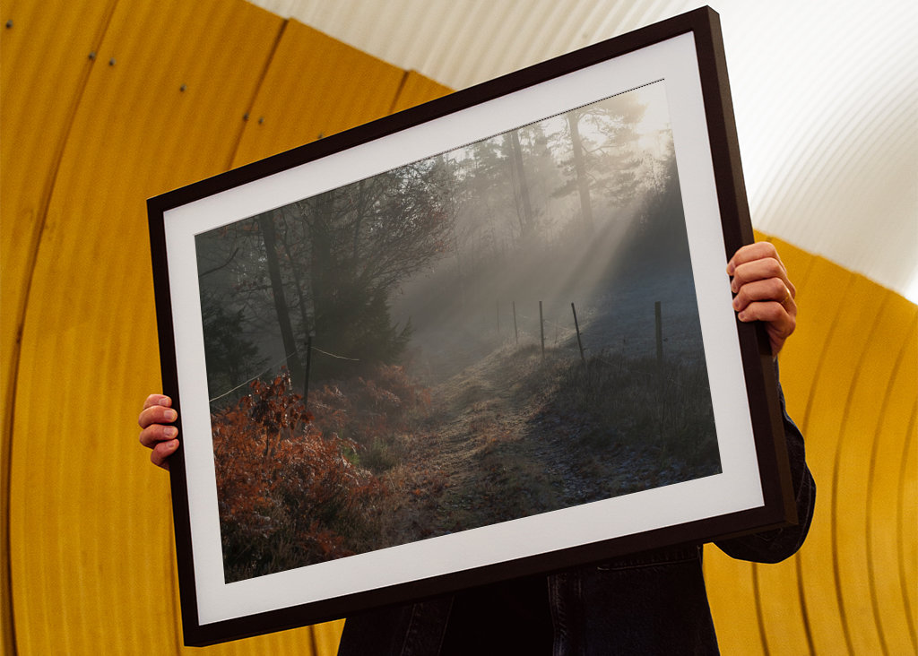 Vintersjov i Sverige