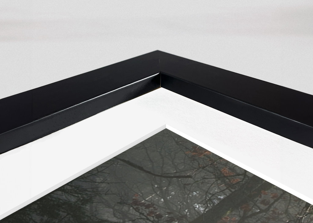 Vintersjov i Sverige