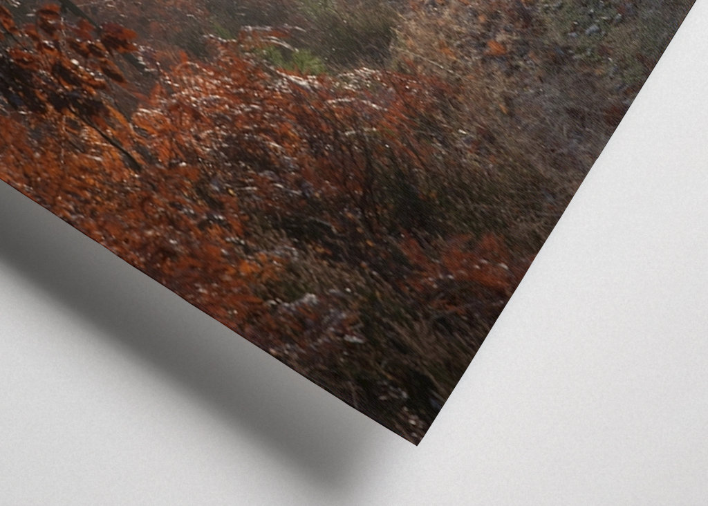 Vintersjov i Sverige