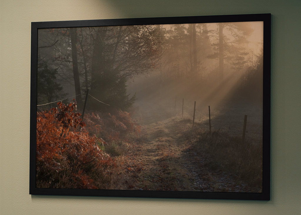 Vintersjov i Sverige