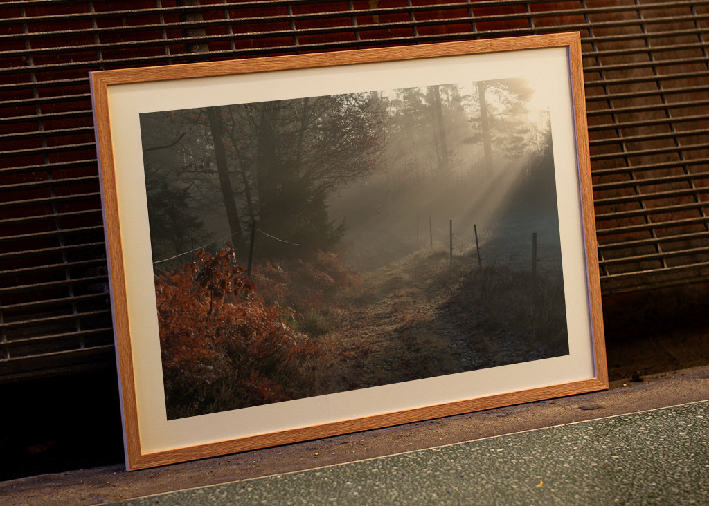 Vintersjov i Sverige