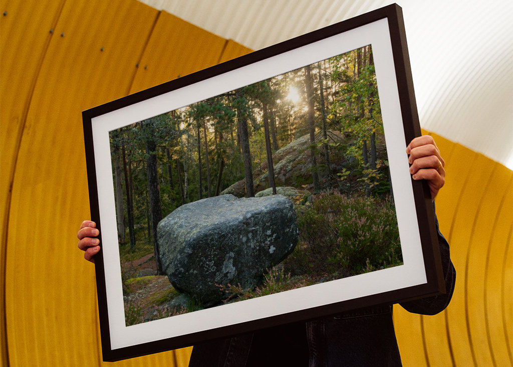 Kamień i las w porannym świetle