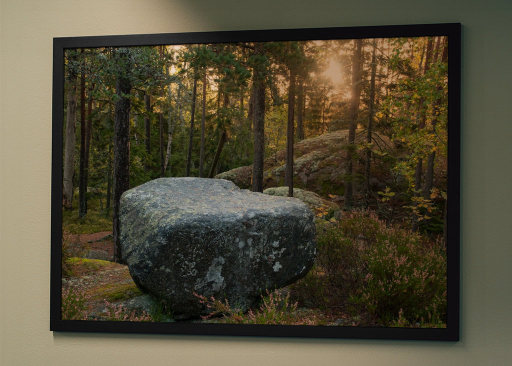Kamień i las w porannym świetle