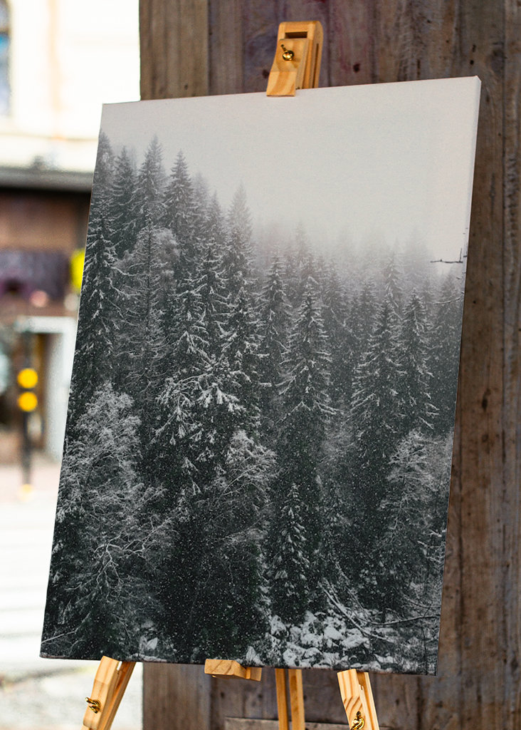 schneebedeckte Bäume